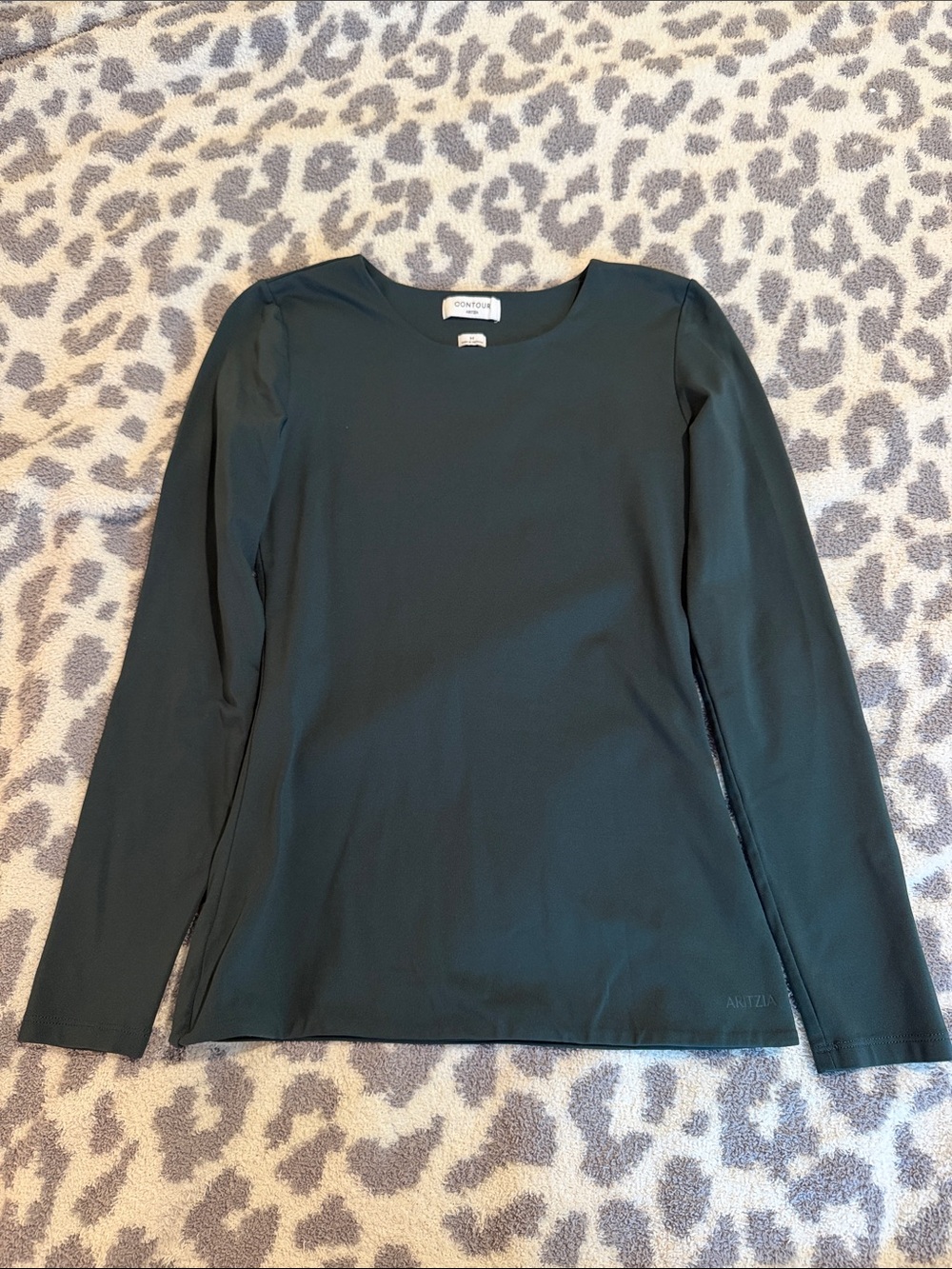 Aritzia Dark Green Long-Sleeve Crewneck Top